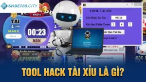 Took hack tài xỉu là gì? Tool hack tài xỉu có thật không?