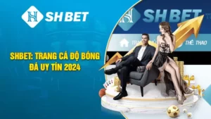 Top 7 trang cá độ bóng đá uy tín được giới thiệu bởi SHBET